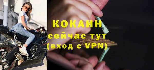 дживик Елабуга