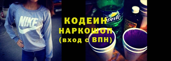 ECSTASY Ельня