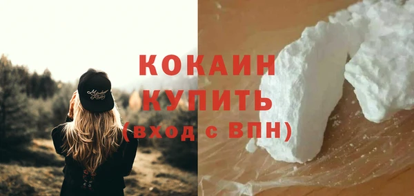 дживик Елабуга
