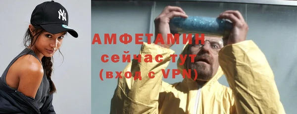ECSTASY Ельня