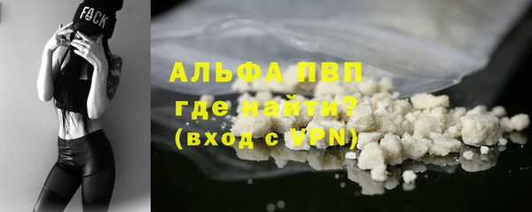 ECSTASY Ельня