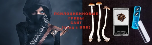 ECSTASY Ельня
