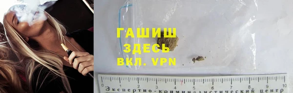 ECSTASY Ельня
