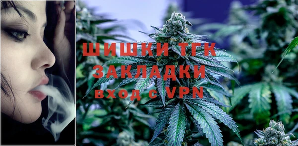 дживик Елабуга