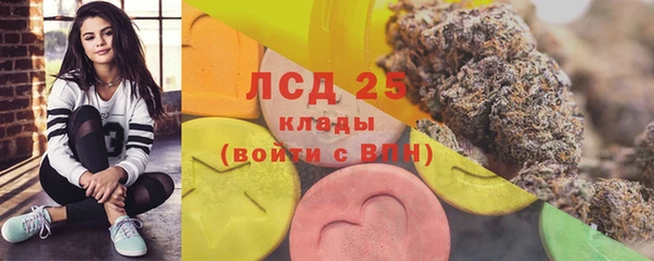 ECSTASY Ельня