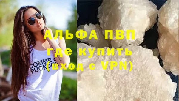 ECSTASY Ельня