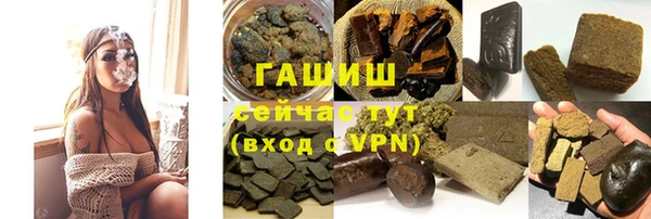 ECSTASY Ельня