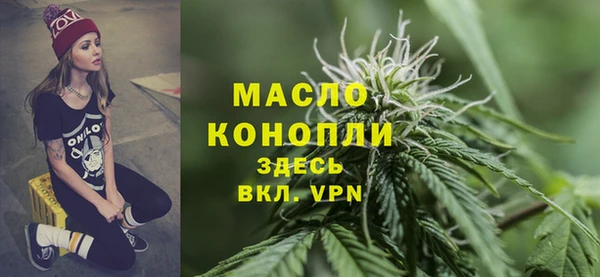 ECSTASY Ельня