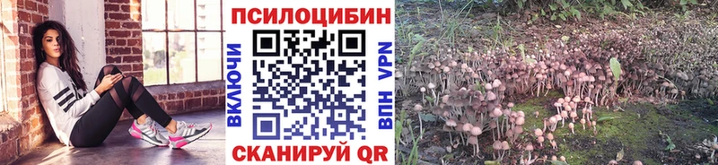 MEGA ТОР  Камень-на-Оби  Галлюциногенные грибы прущие грибы 