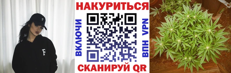 Бошки марихуана Amnesia Камень-на-Оби